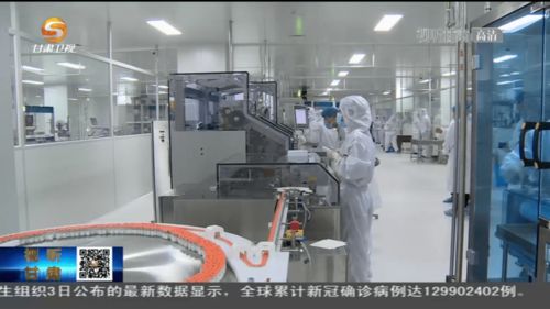 甘肅造新冠疫苗首批投產(chǎn)下線 技術(shù)突破助力抗疫新篇章